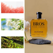 110ml Woody floral fragrance unisex perfume Persistent eau de toilette fresh narture בושם לואי לגבר Daily perfume dupe perfume