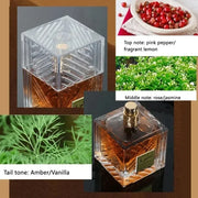 100ML Arabia Men Perfume Fragrance Middle East Dubai Unisex Perfume Pheromone Lasting Exotic Fragrance Perfume Hombre Gift New