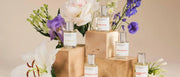 Dossier - Ambery Saffron 1.7 Fl Oz (50ml) - Eau de Parfum - Inspired by B.accarat R.ouge 540 - Vegan, Unisex Perfume Spray